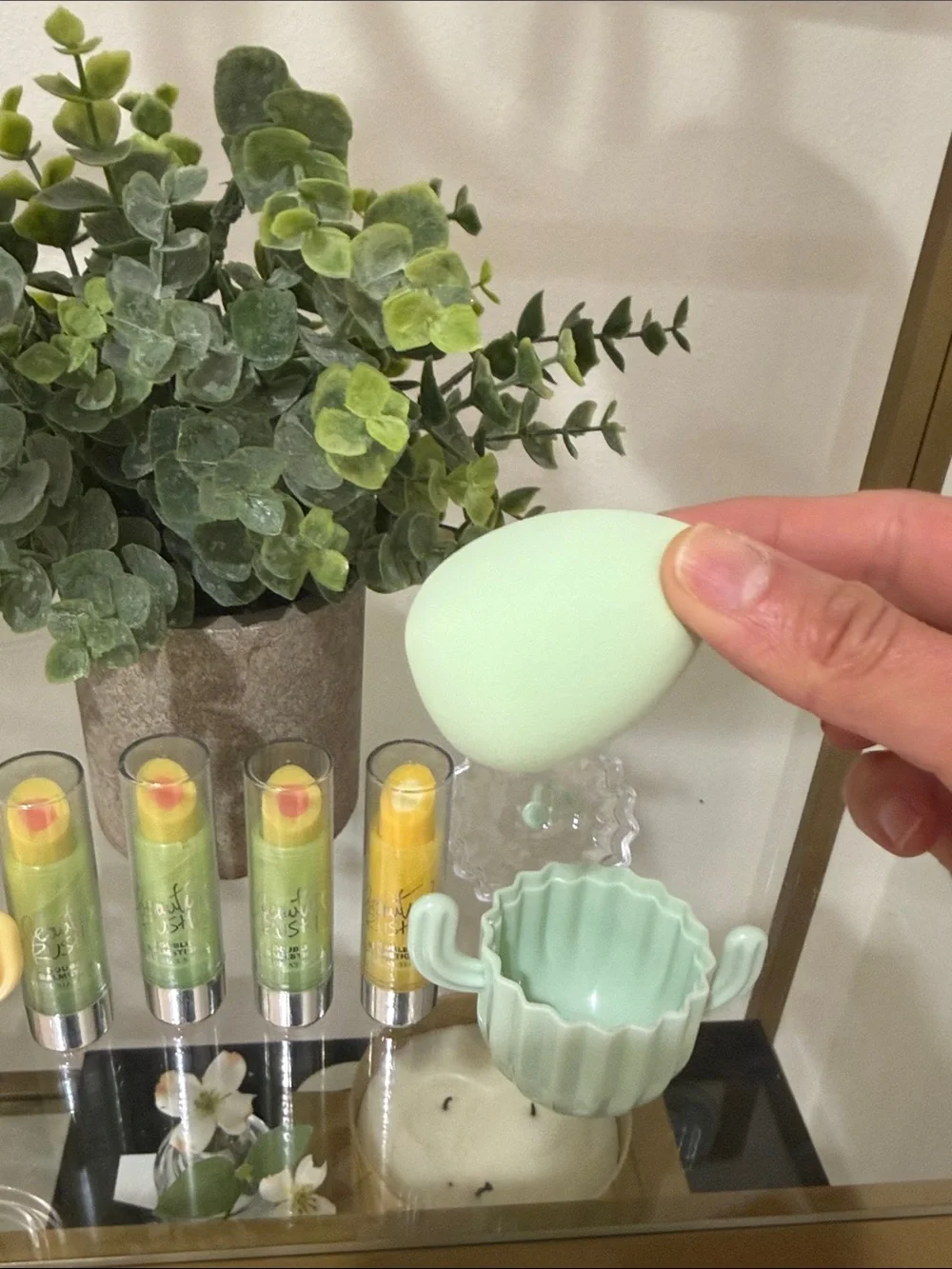 Cactus Make Up Sponge and Lip Balm Set
